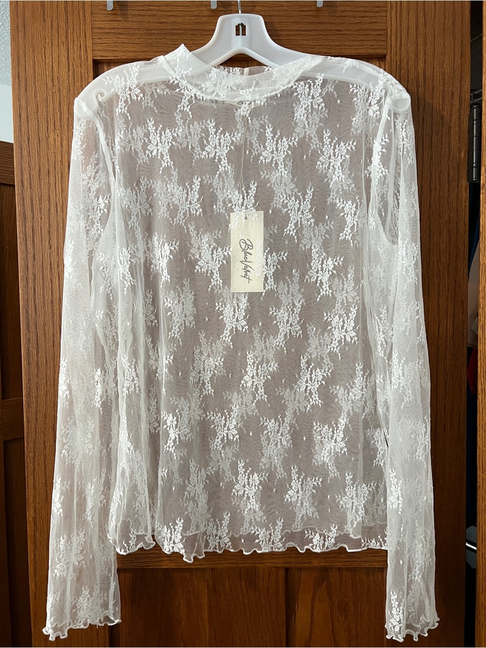 Blue Velvet White Mesh Lace Long-Sleeve Top